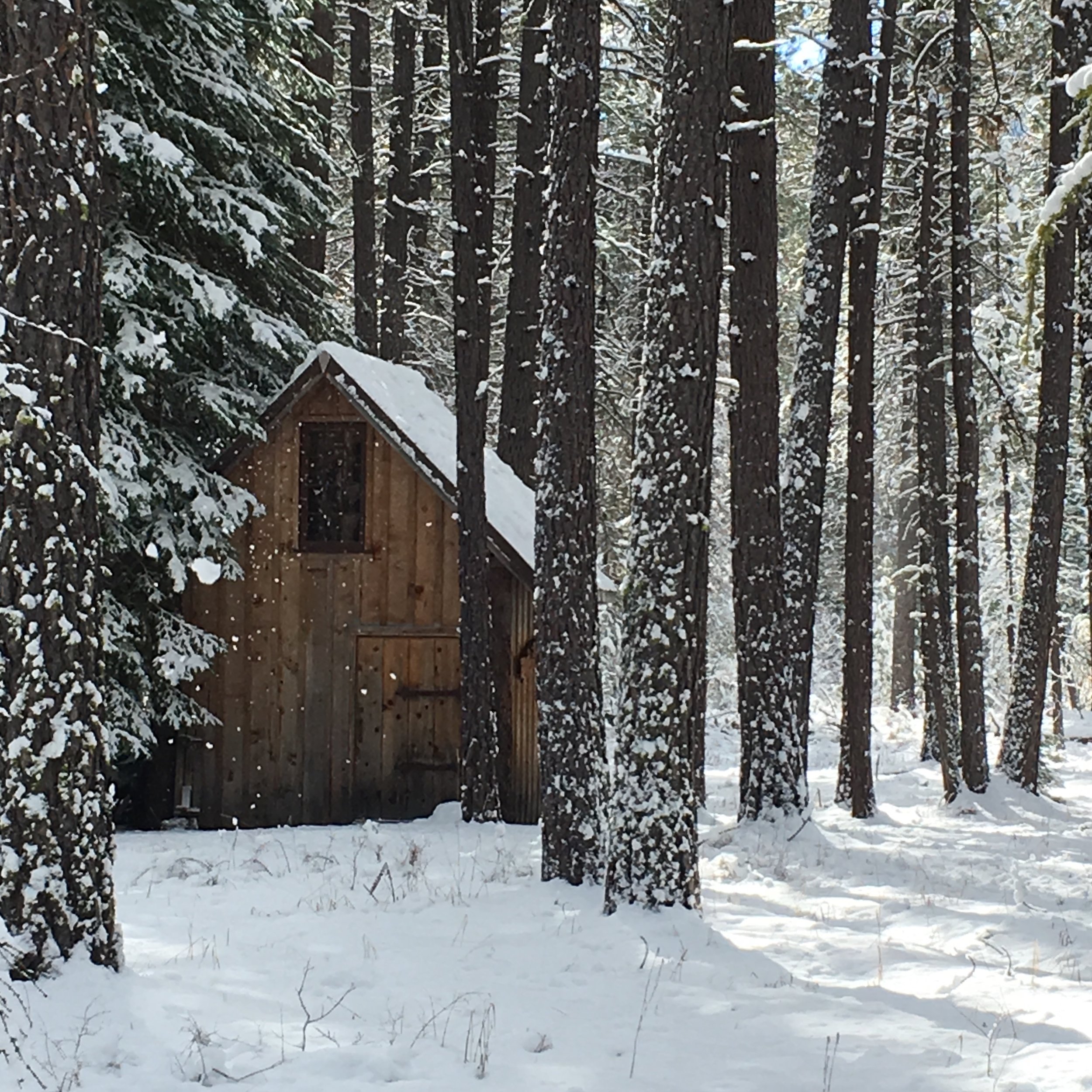 Outhouse2.jpg