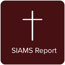 SIAms-Report-Button.png