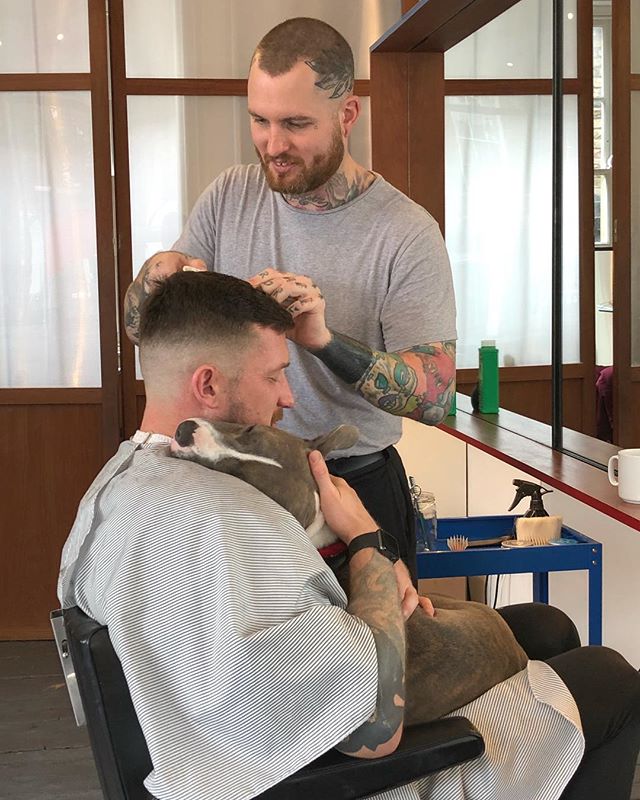 Haircuts come with cuddles if you&rsquo;re lucky! 🐶❤️✂️💈
#ELPbarbershop #londonbarber #menshair #wetshave #haircut #beer #girlswithshorthair #girlcrop #barbershop #menshaircut #classiccut #malegrooming #amwellstreet #ec1 #barbershopconnect #modernb