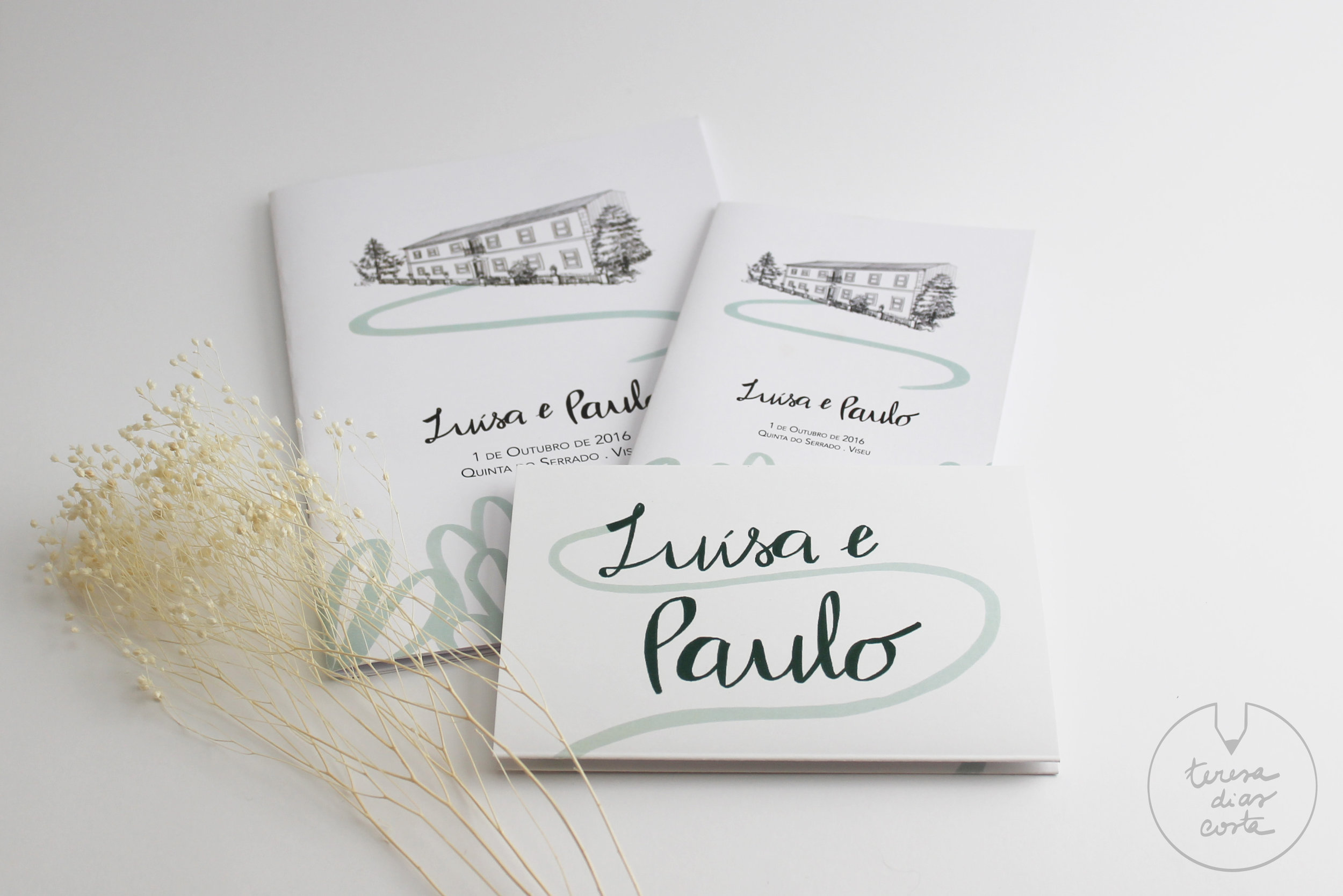 IMG_9953 - cópia.JPG