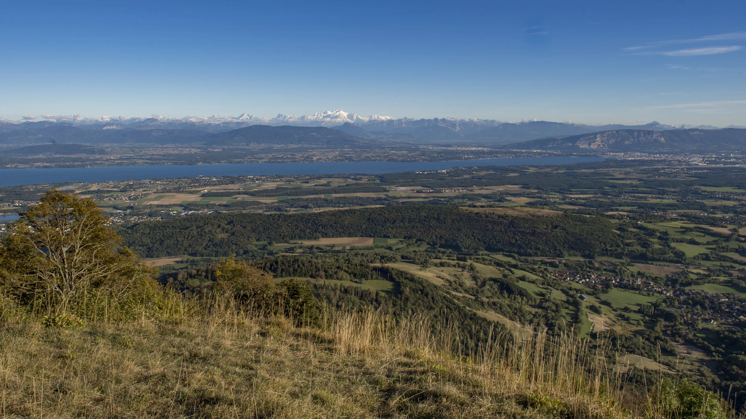 DSC_2030.jpg