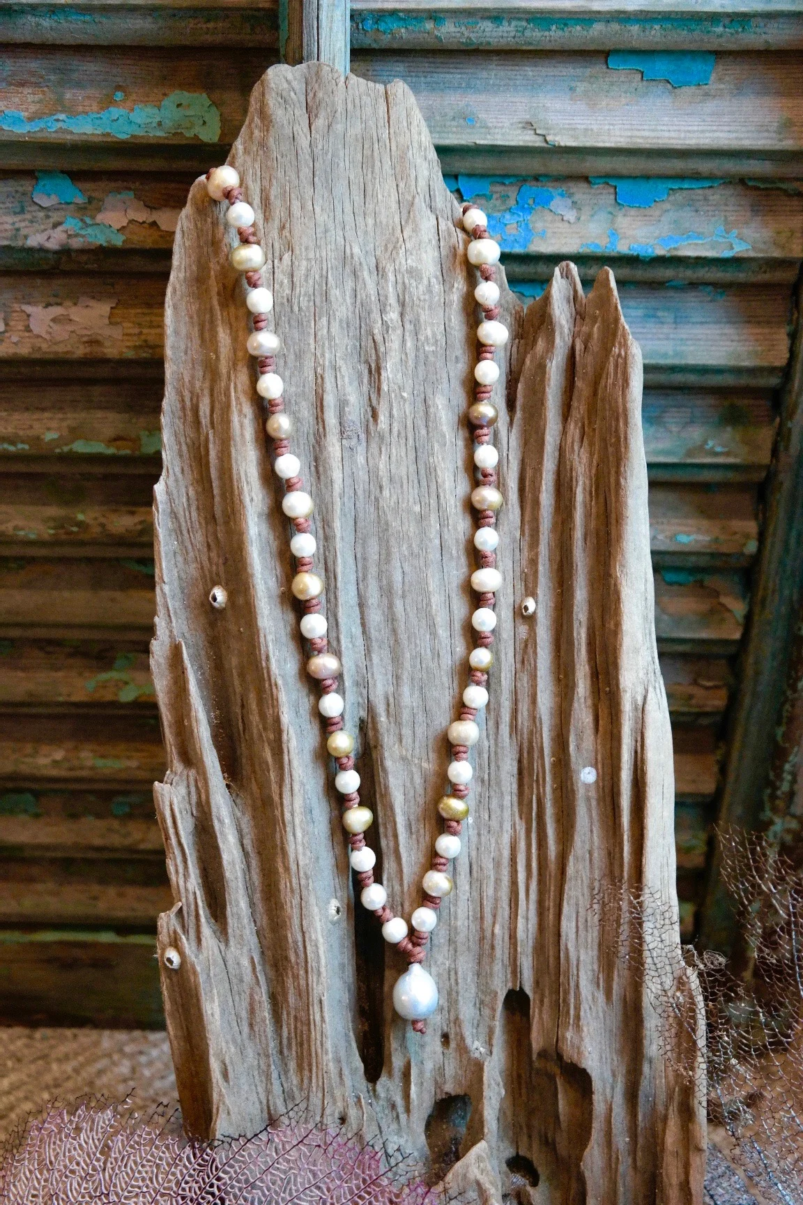 Sea of Cortez with Kasumi Accent