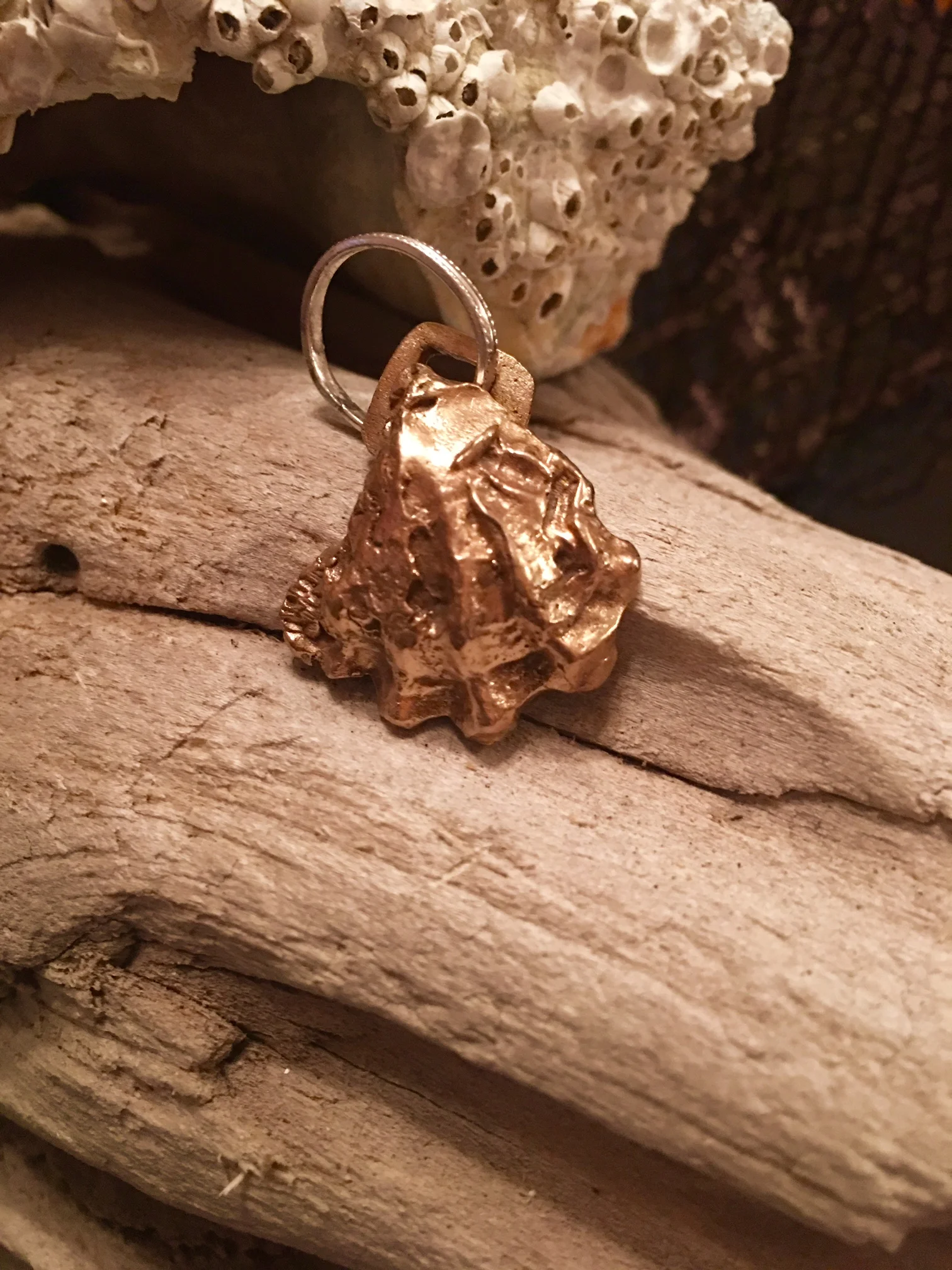 Louisiana Oyster Shell 