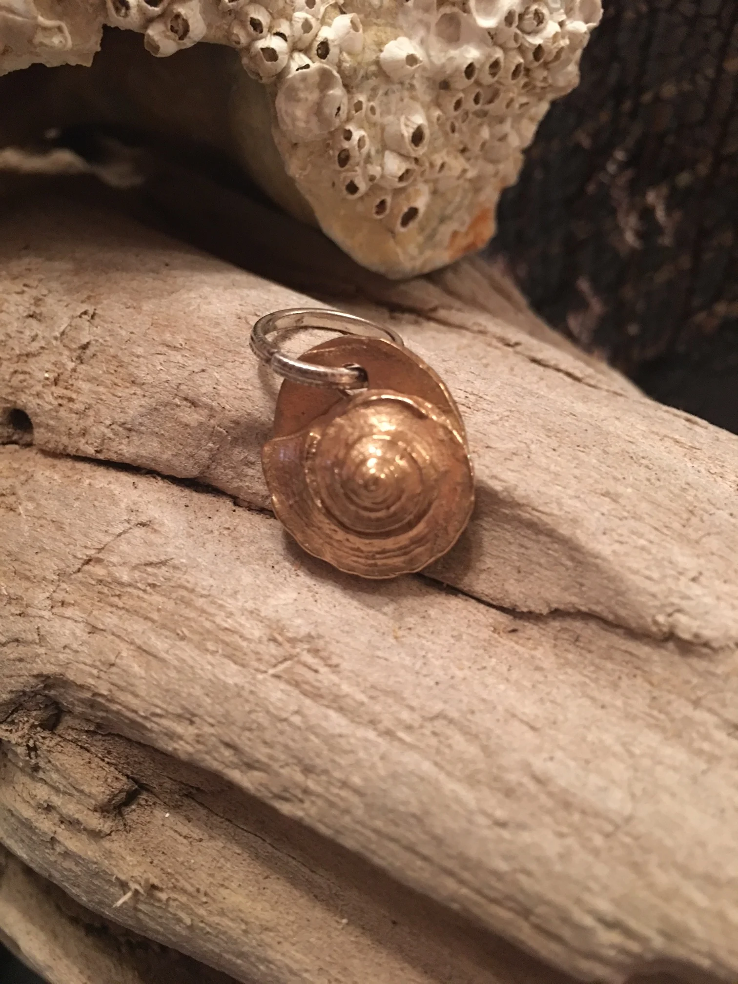 Sea Shell Cast Pendant