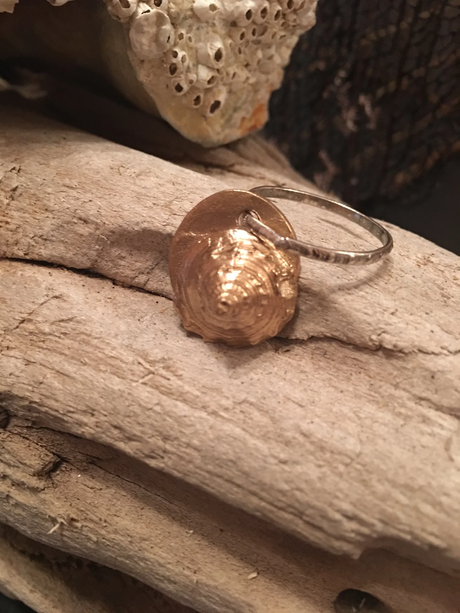 Sea Shell Cast Pendant