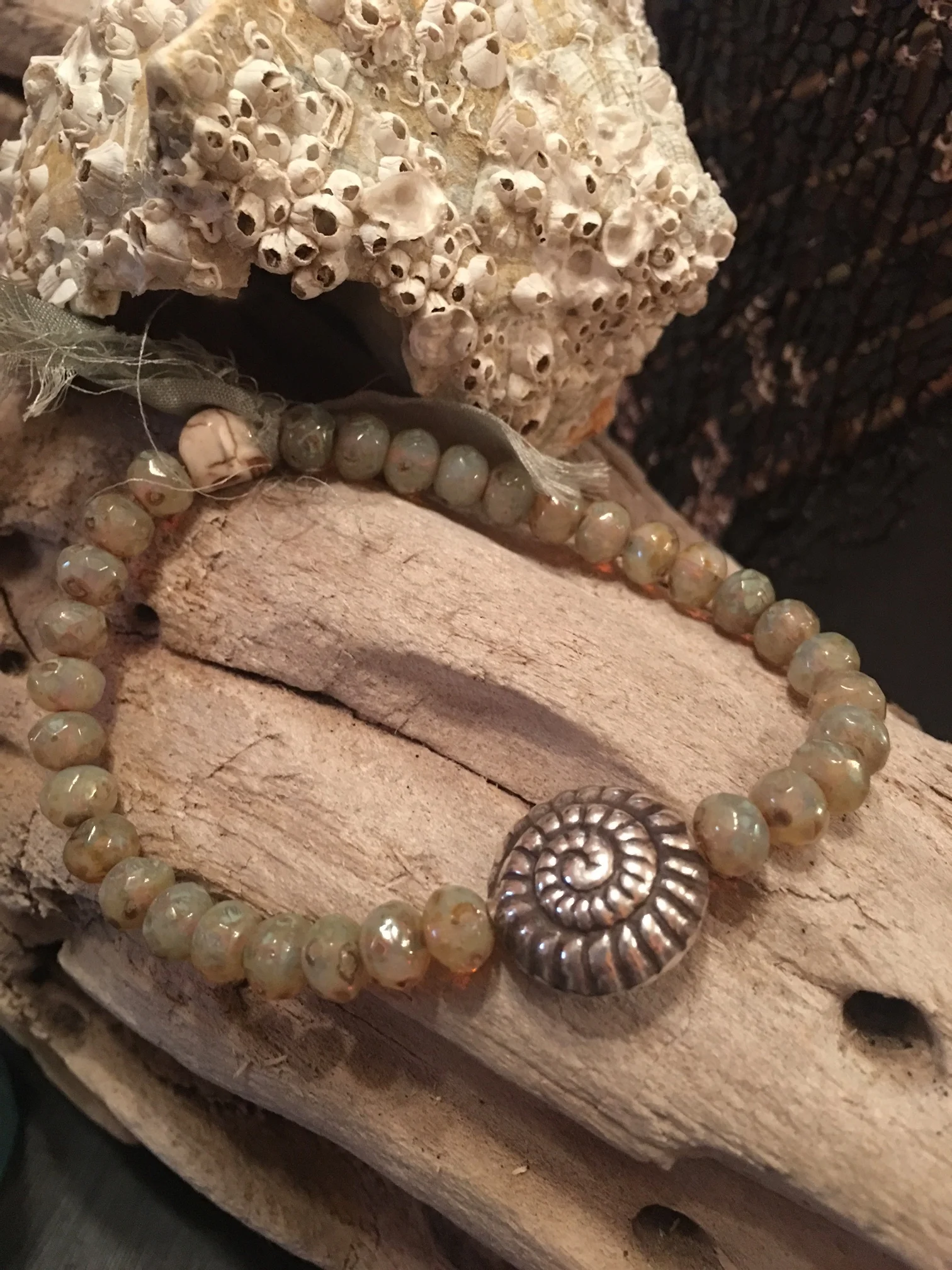 Pirate's Pearls & Nautilus Shell