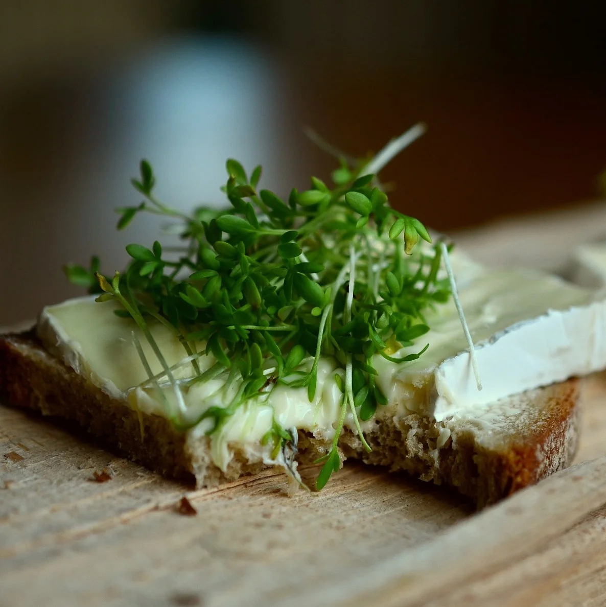 tartine-fromage.jpg