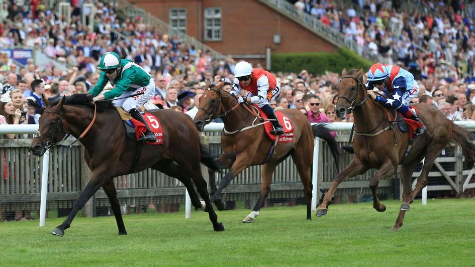 RAHEEN HOUSE (Sea The Stars x Jumooh): THE BAHRAIN TROPHY GROUP 3, 13TH JULY 2017 Powerful colt by Sea The Stars won the Bahrain Trophy going away with every stride, an even further step up in trip could see this horse bid for a Classic.
