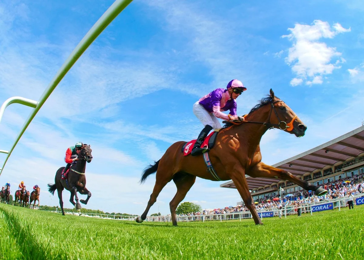 Petrus Broke his maiden at Sandown in a good field.