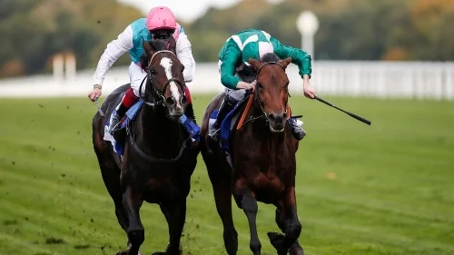 Rahaeen House (Sea The Stars x Jumooh): Noel Murless Stakes 06th October 2017