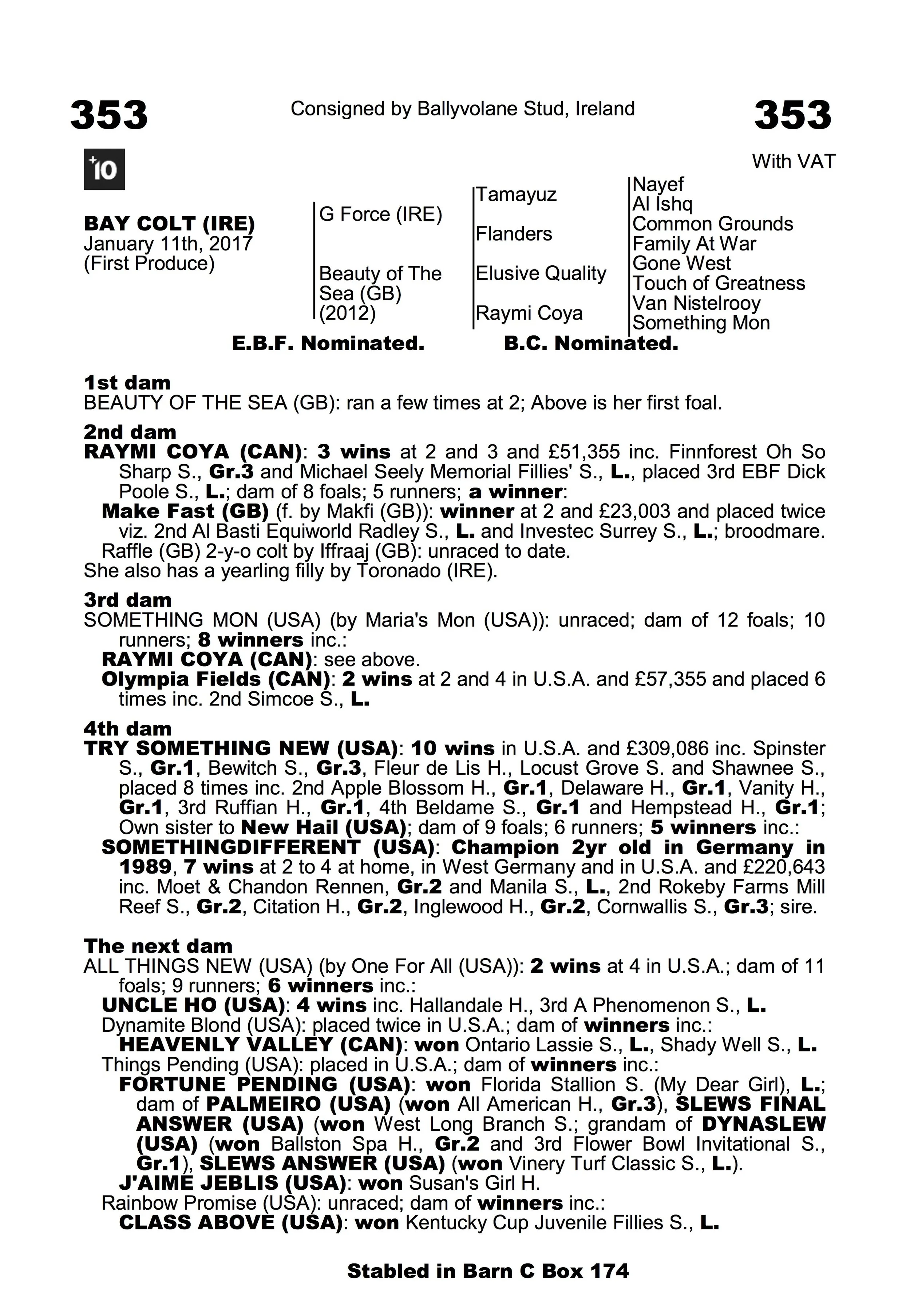 premier-yearling-sale-2018-353.jpg