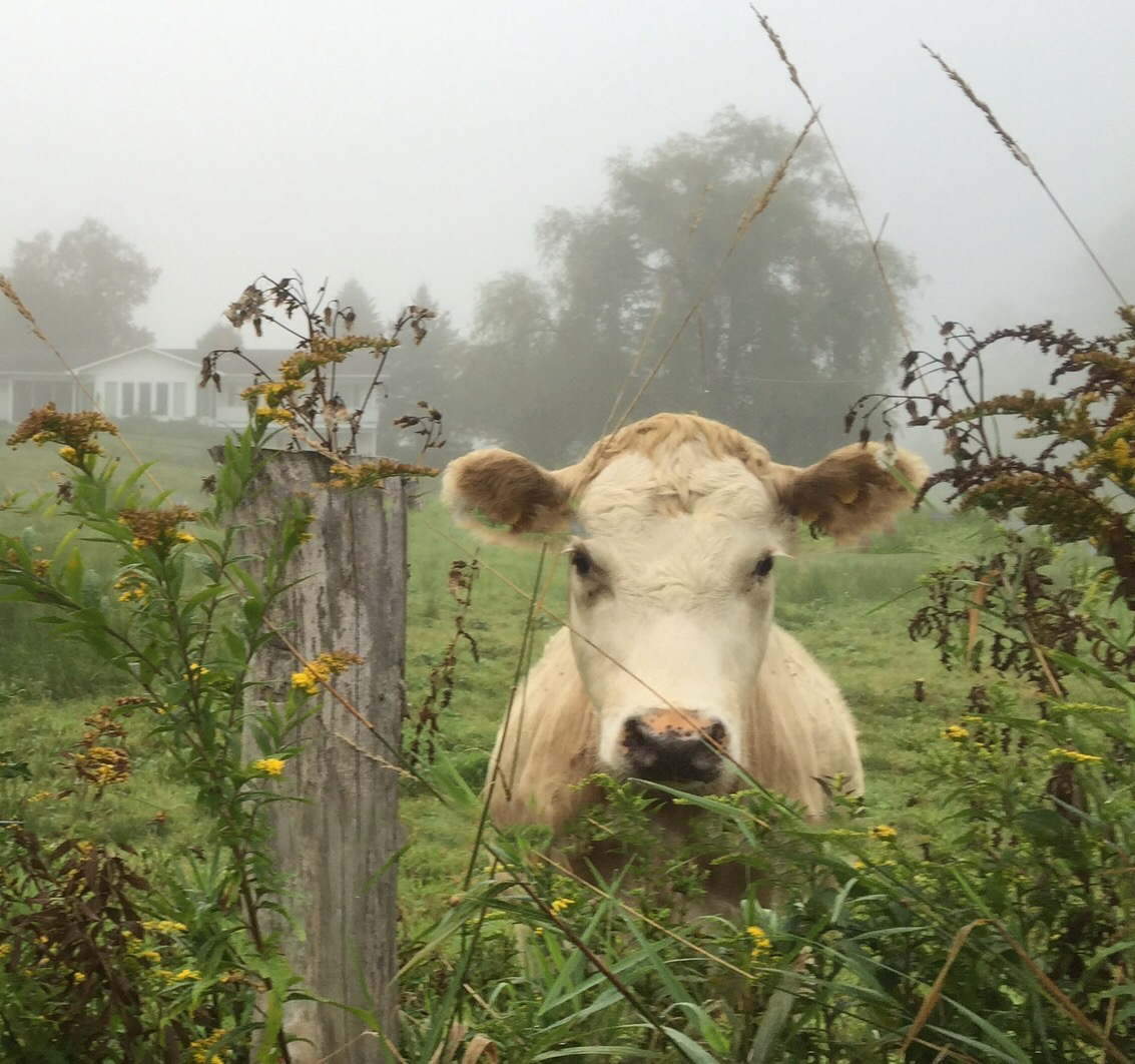 Our Neighbors