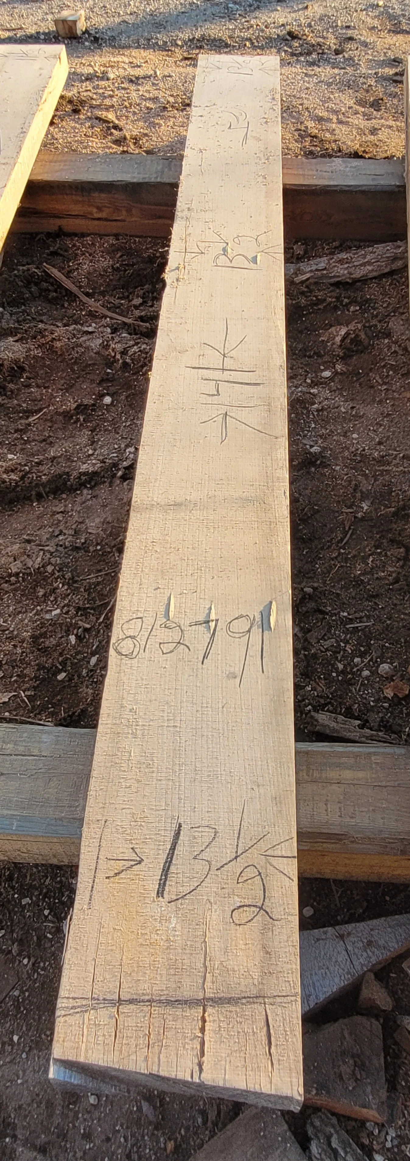 812791.jpg