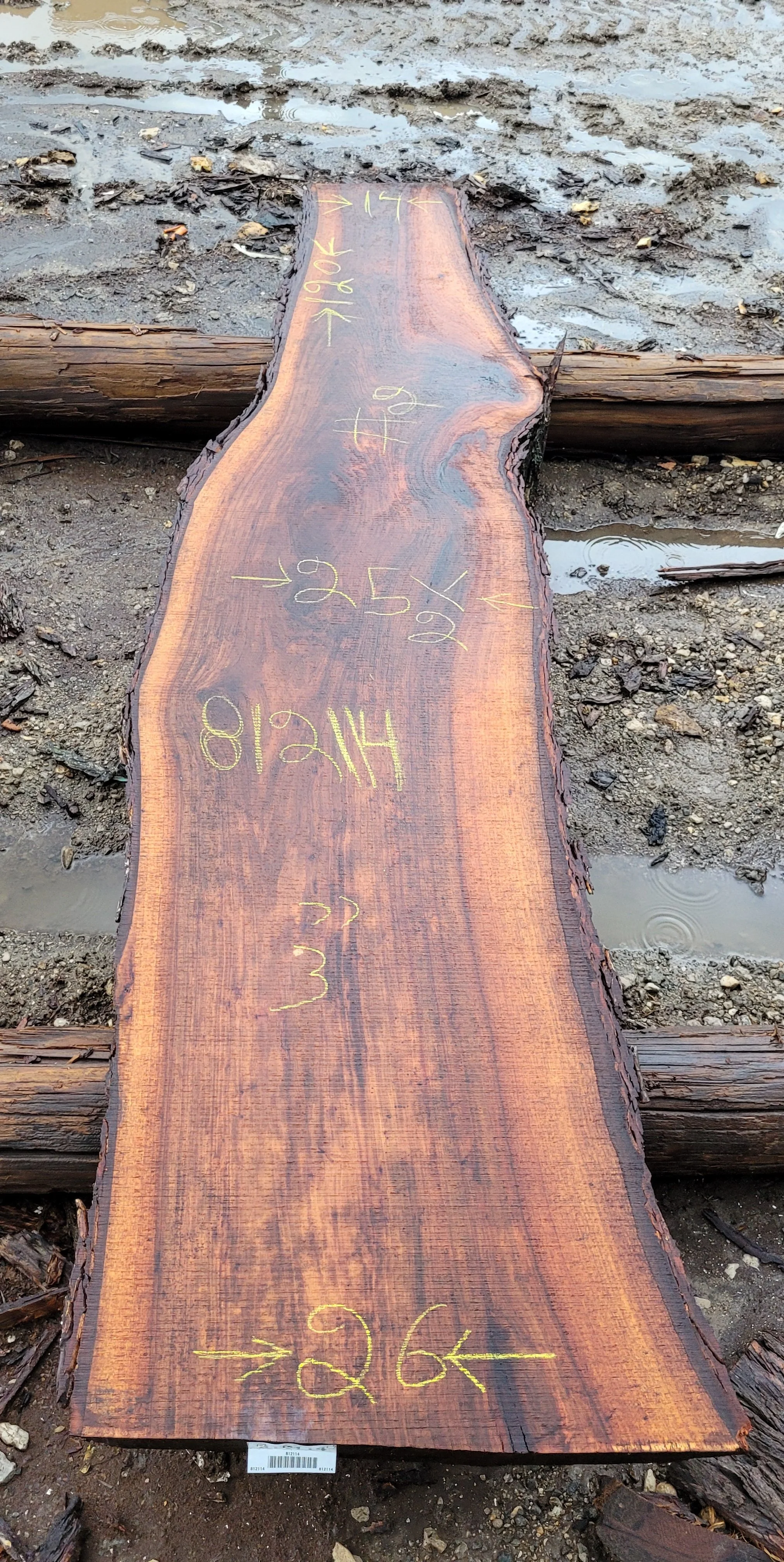 812114.jpg