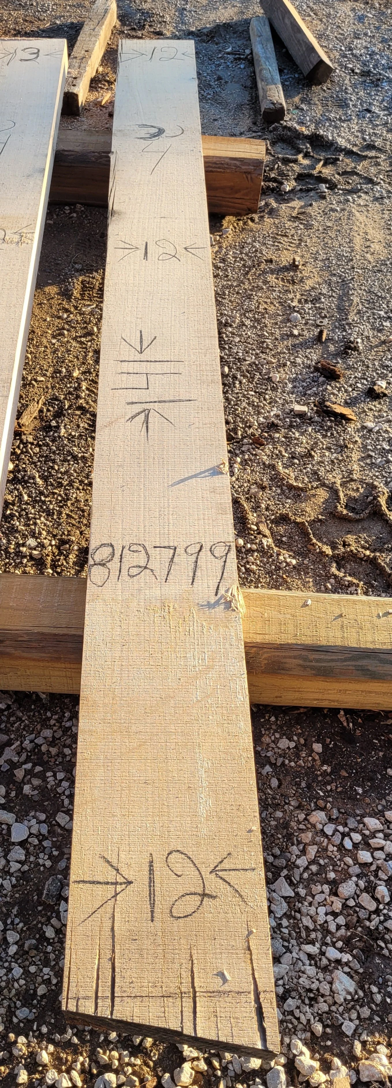 812799.jpg