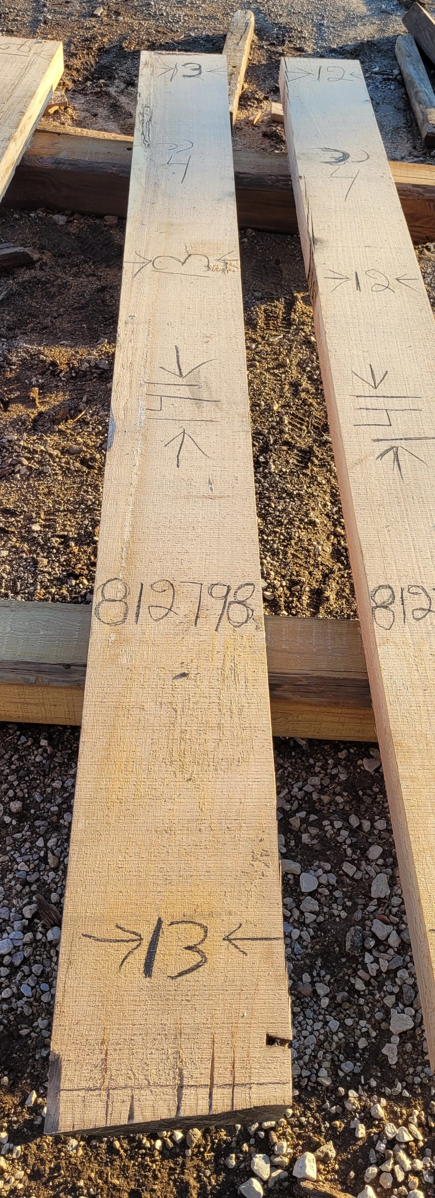 812798.jpg