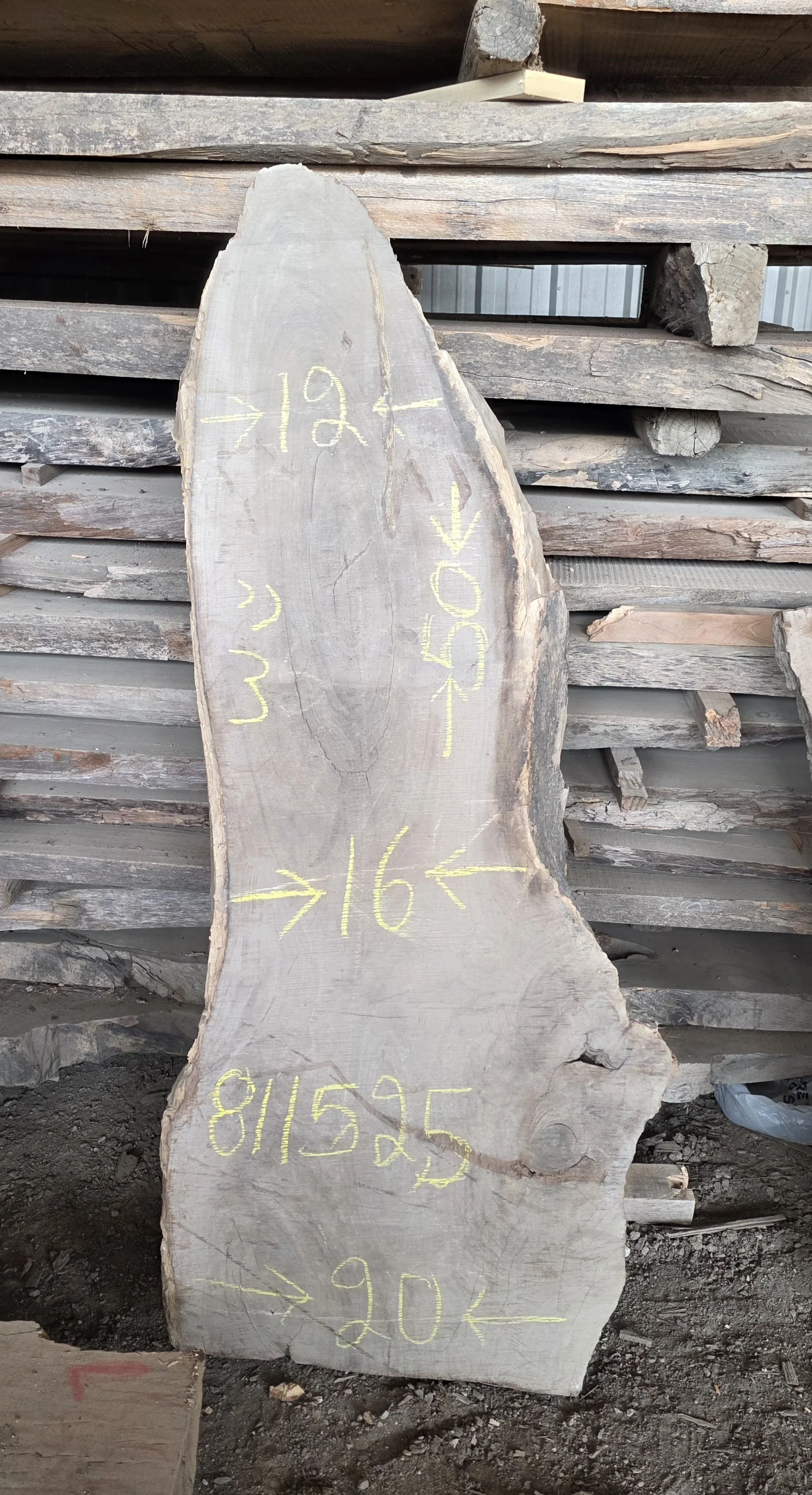 811525.jpg