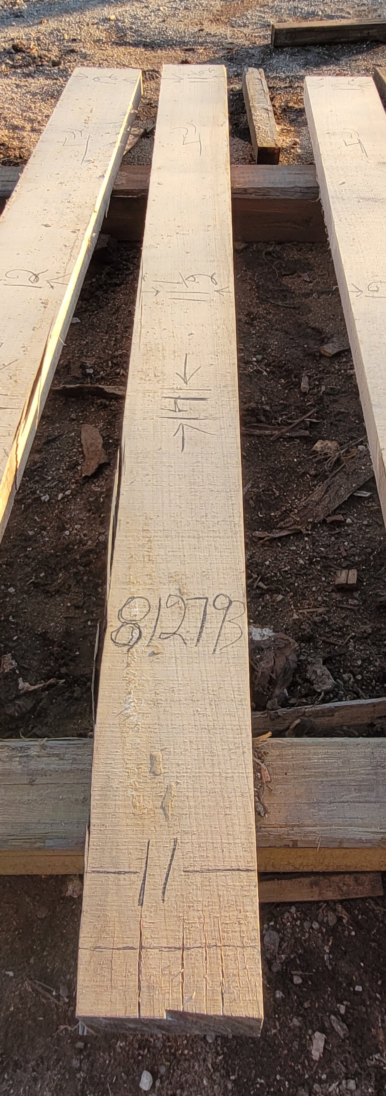 812793.jpg