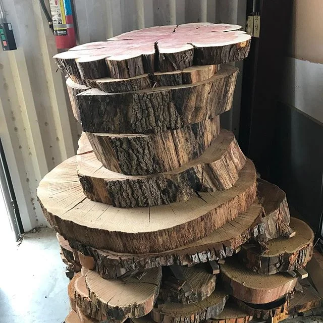 Cross cuts for days. 😂😎🌲