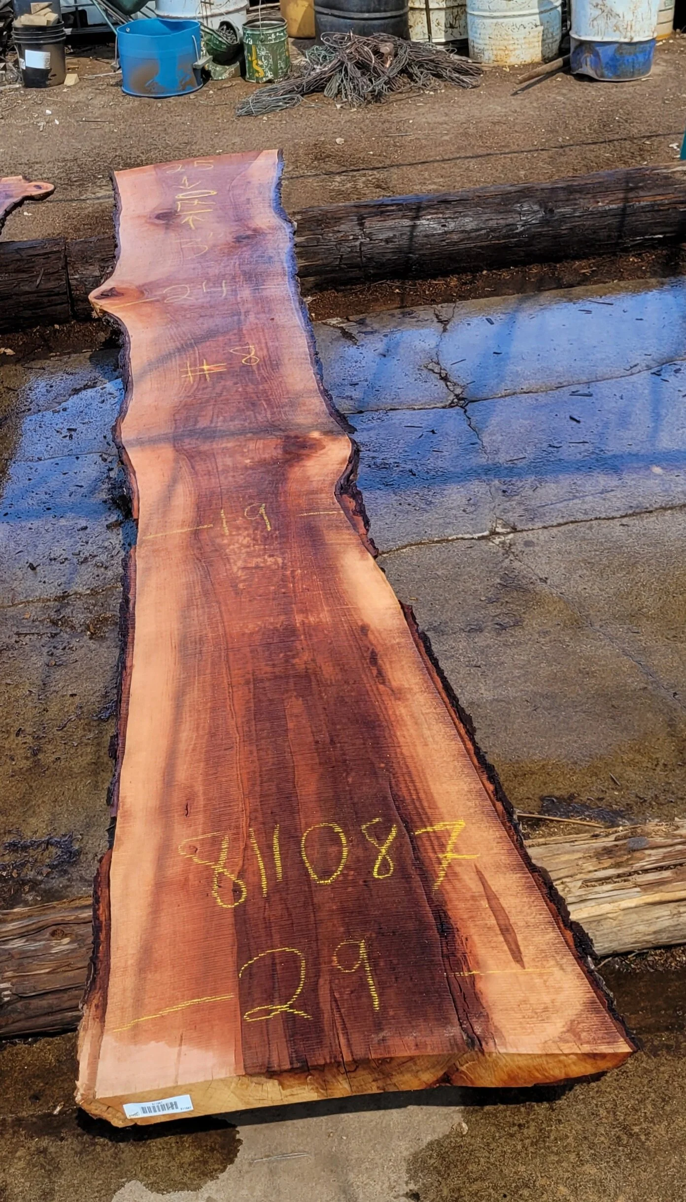 811087.jpg
