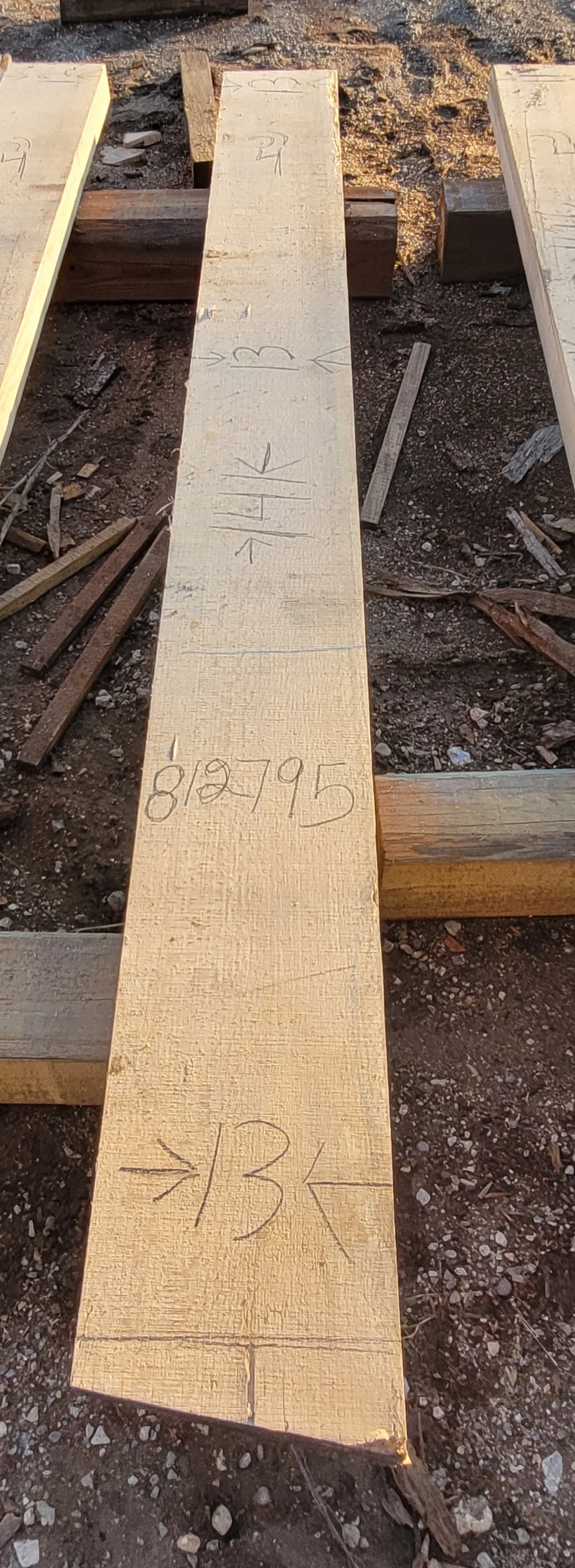 812795.jpg
