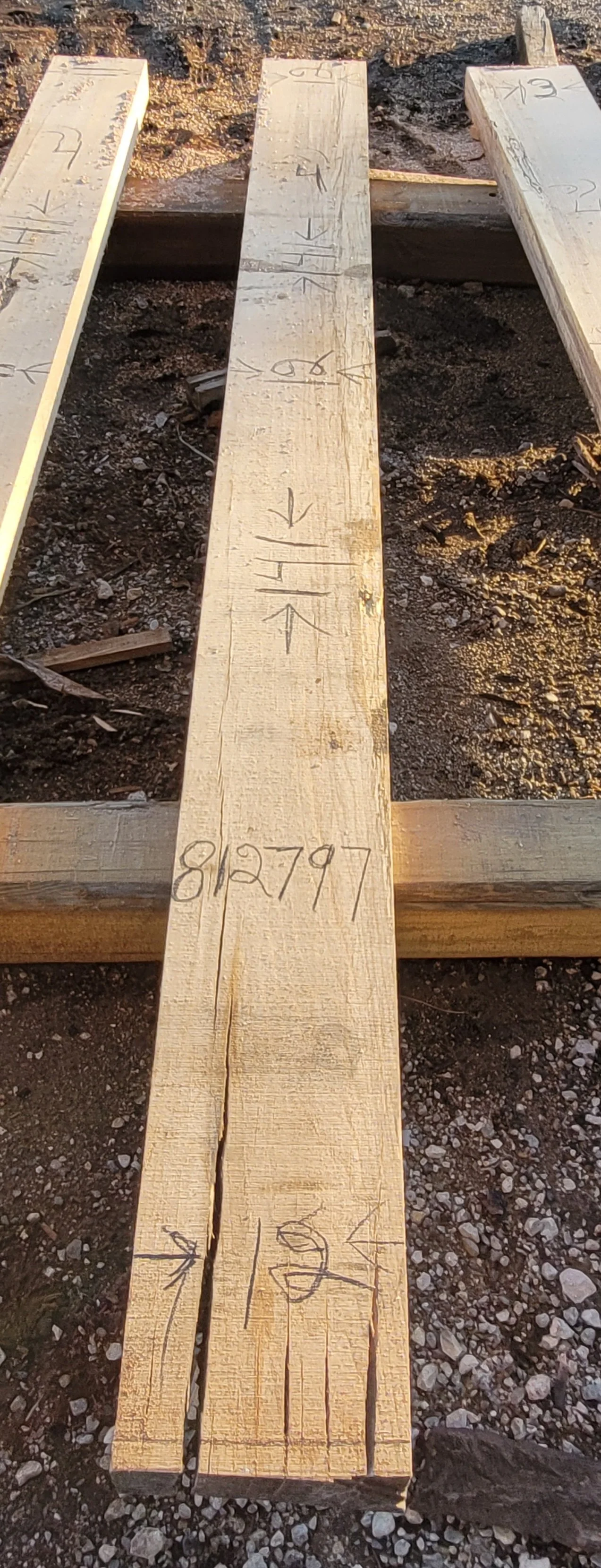 812797.jpg