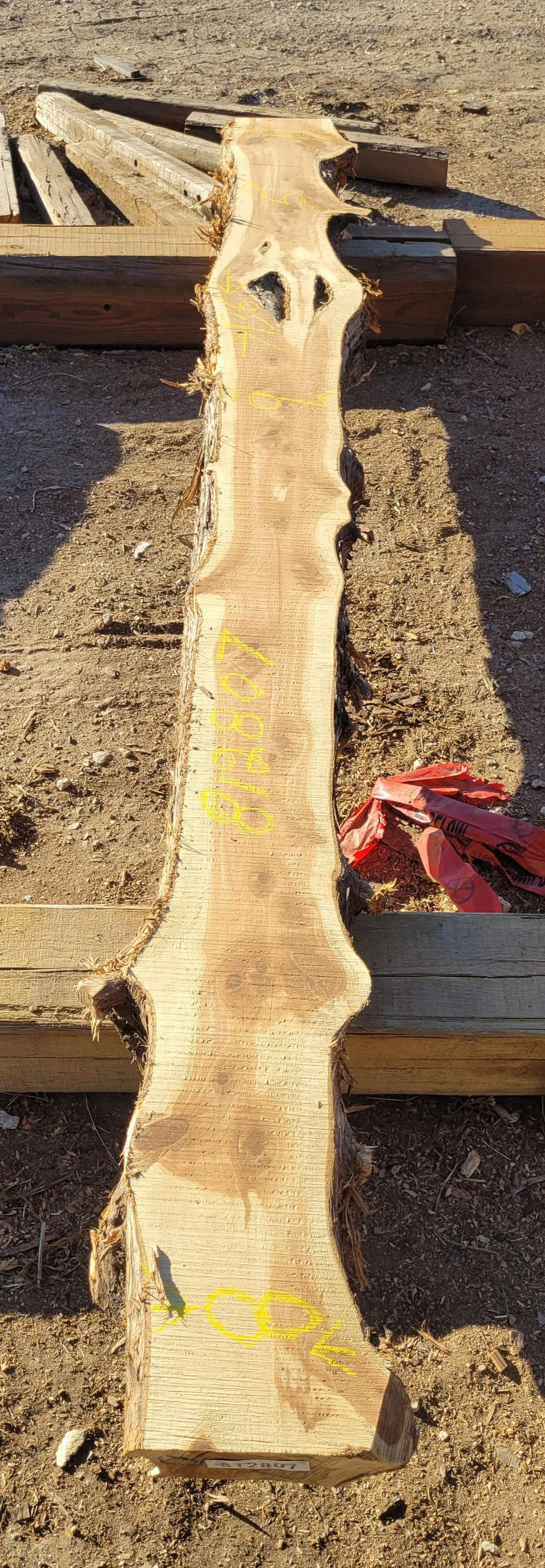 812807.jpg