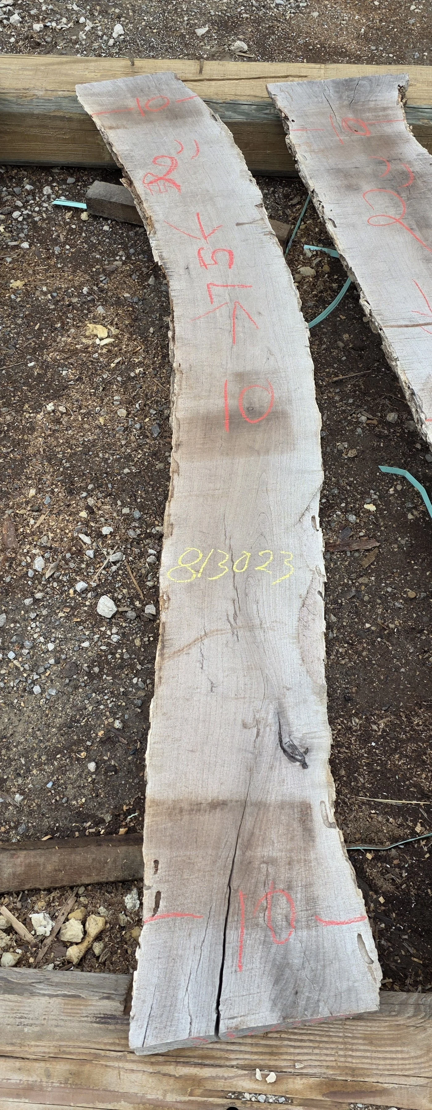 813023.jpg