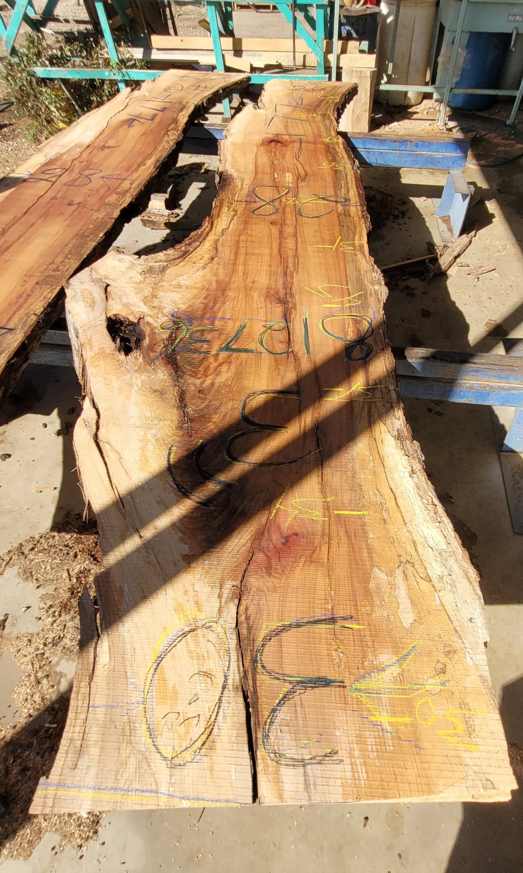 812736.jpg