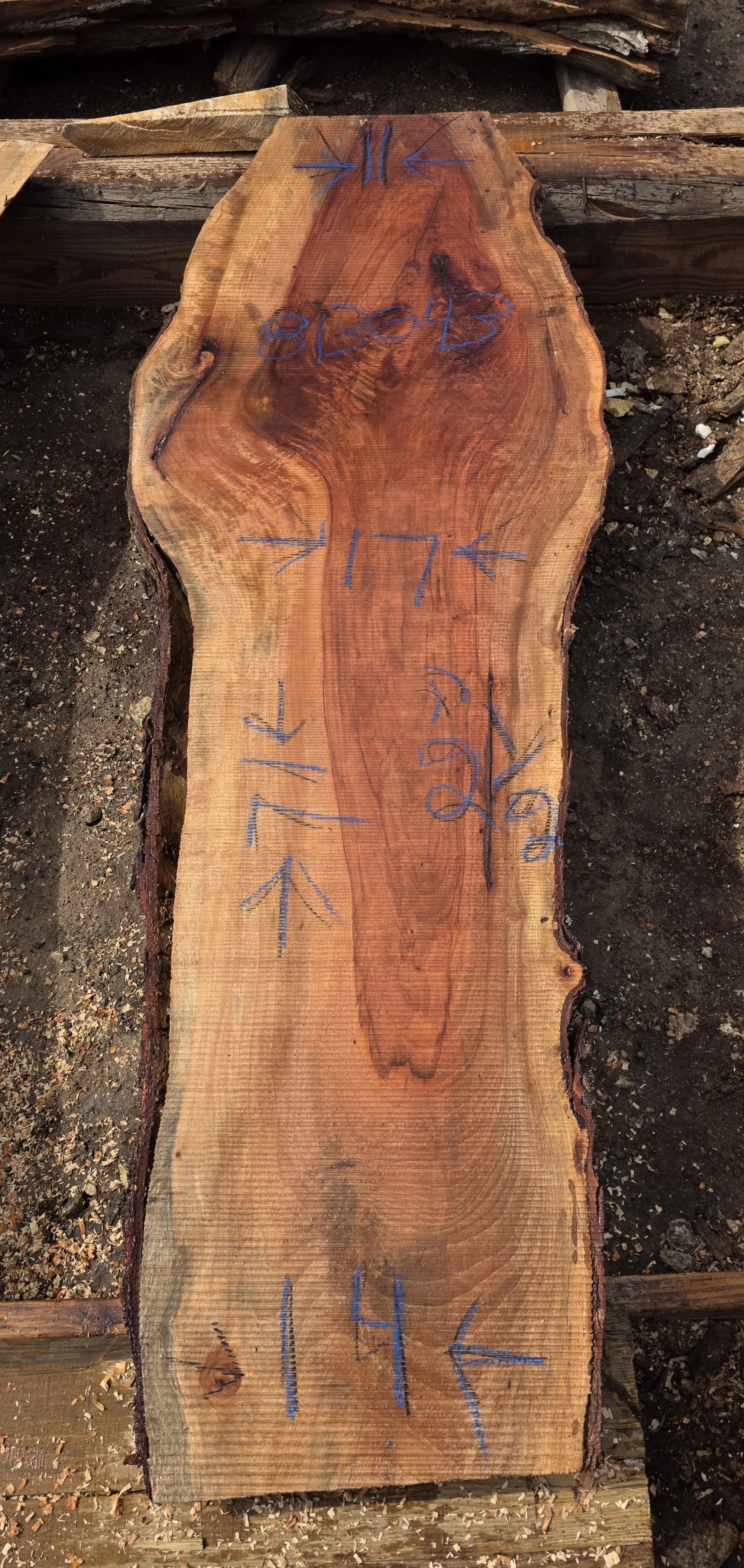 813043.jpg