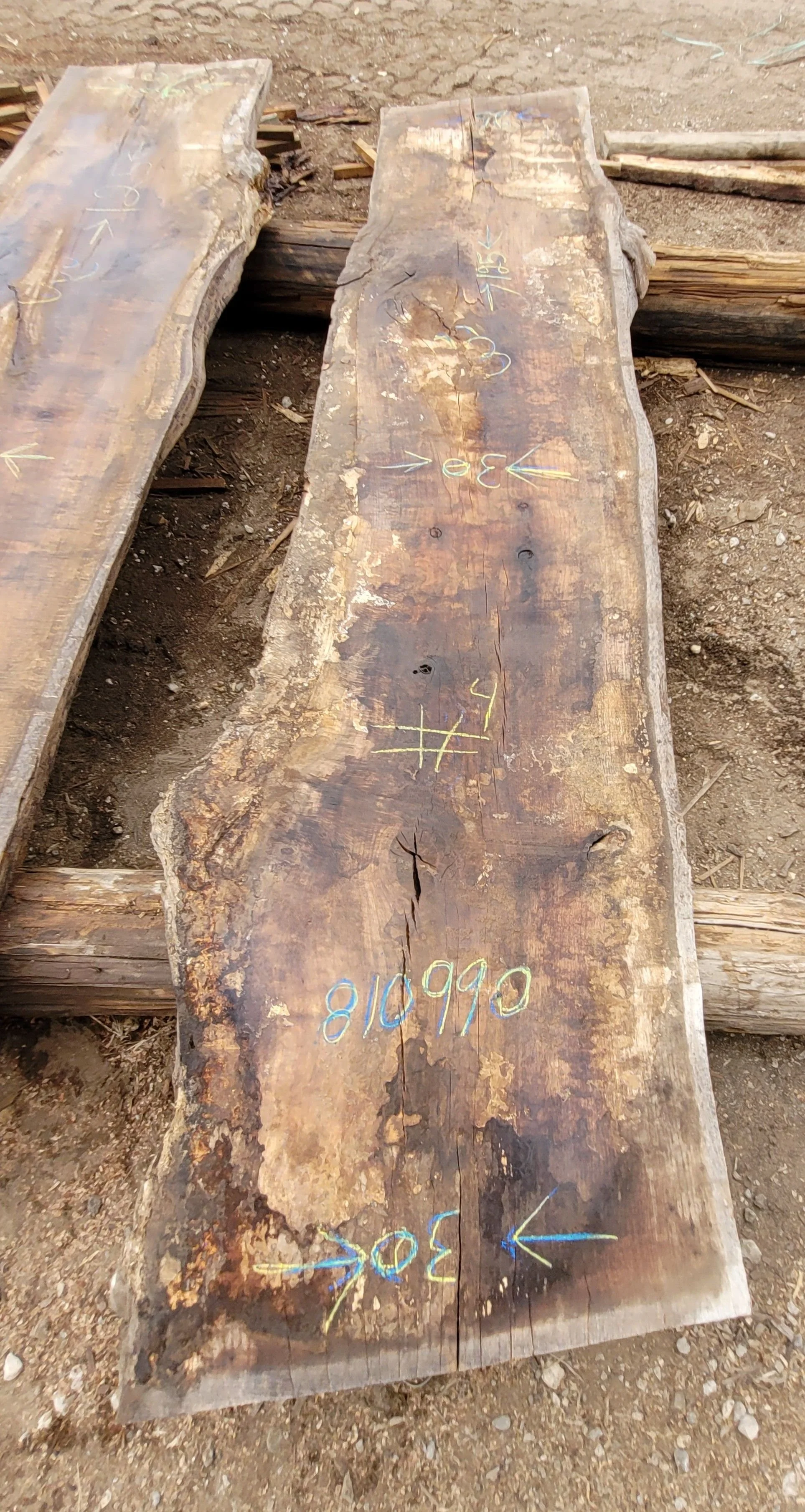810990.jpg