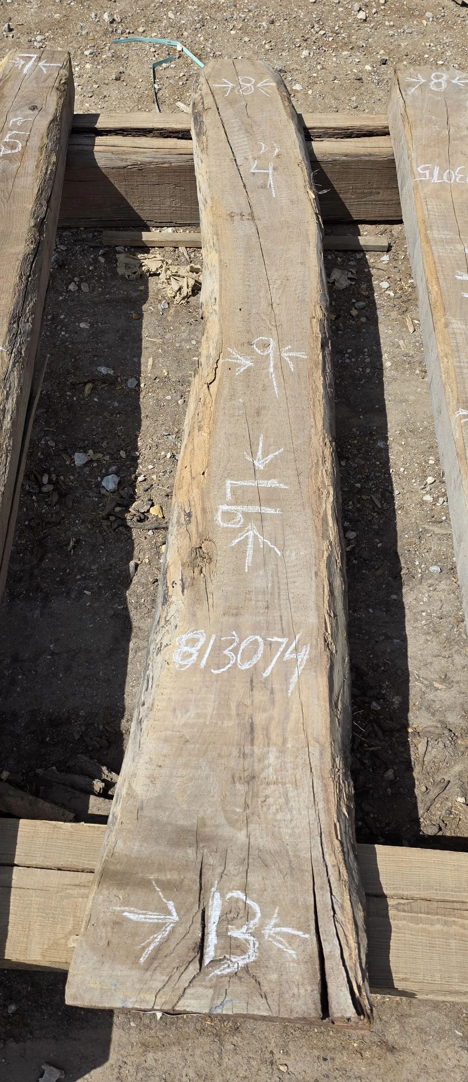 813074.jpg
