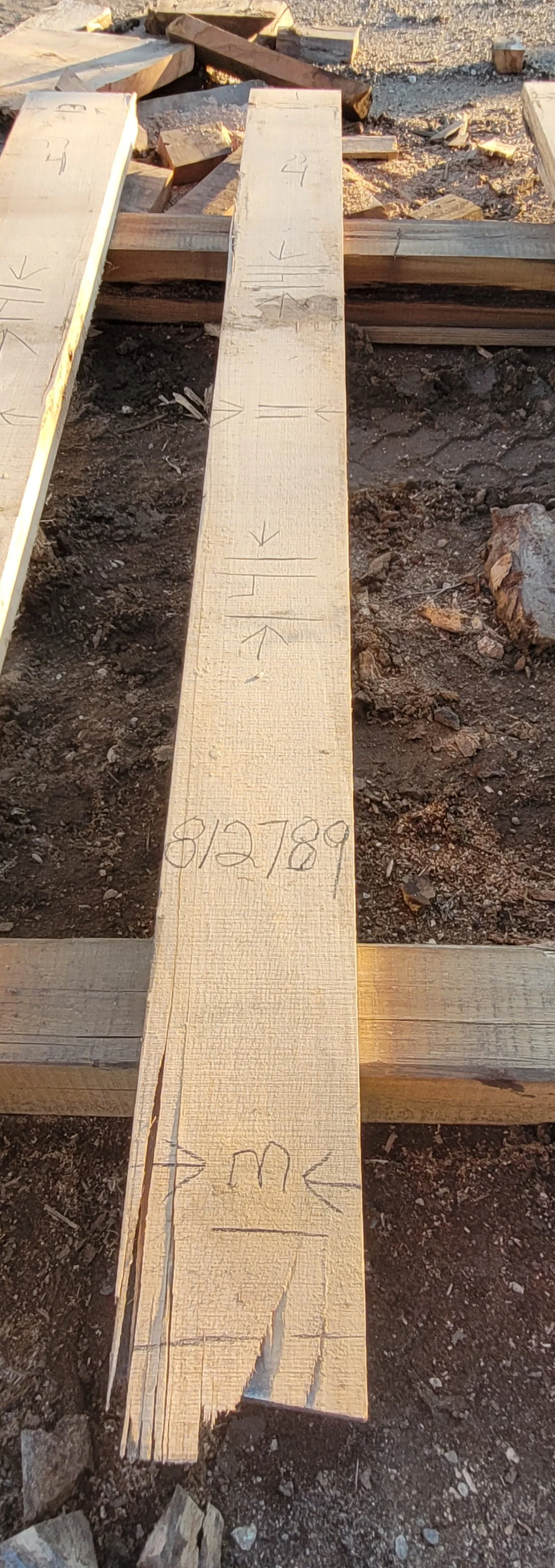 812789.jpg