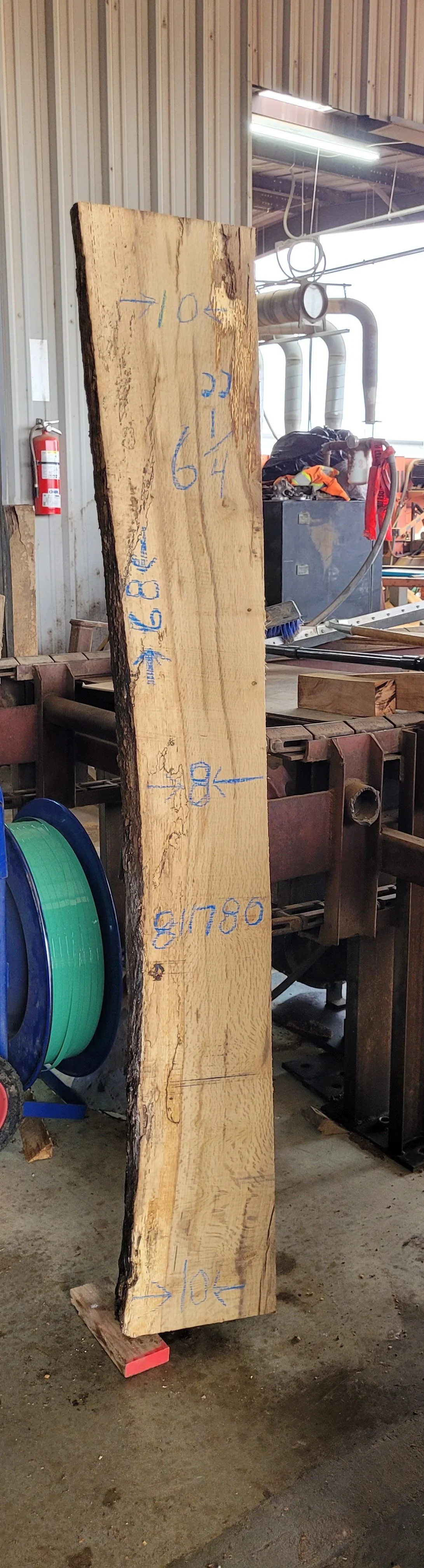 811780.jpg