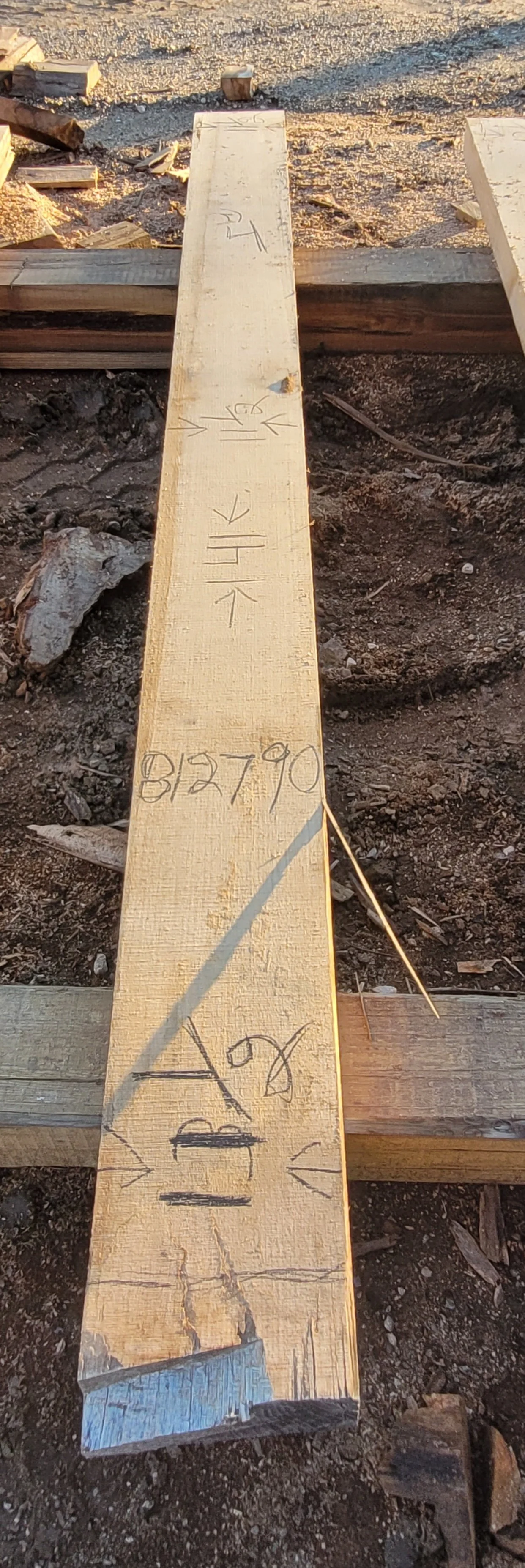 812790.jpg