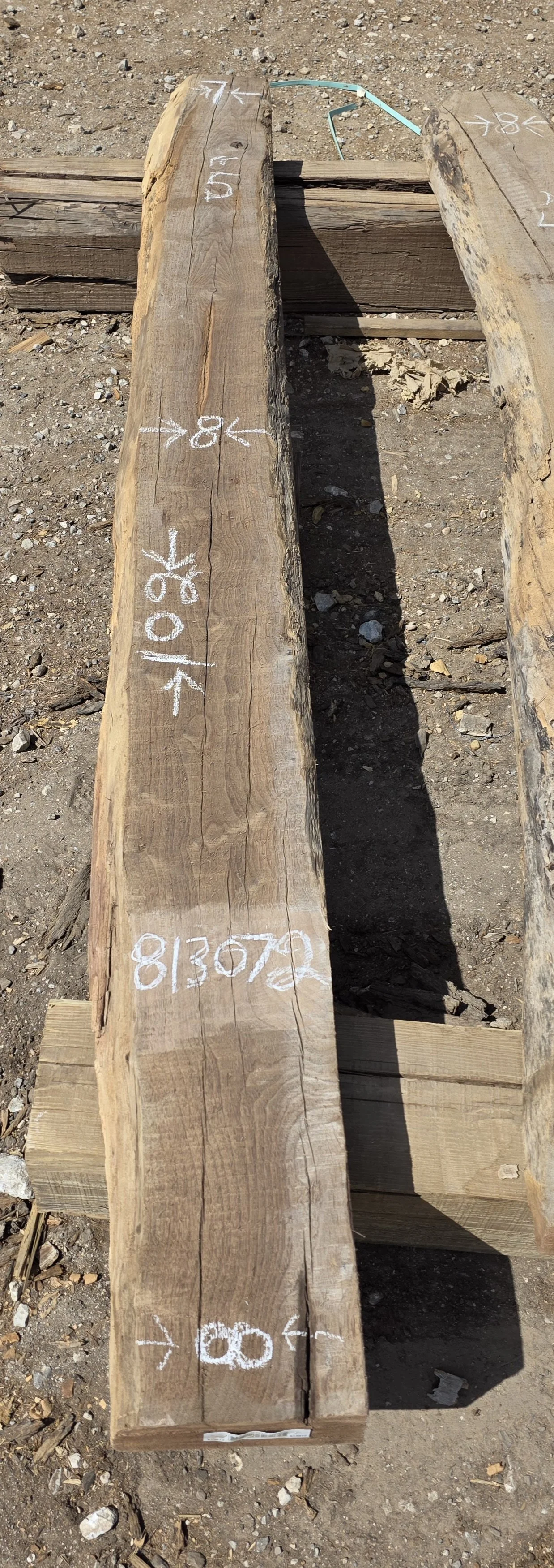 813072.jpg