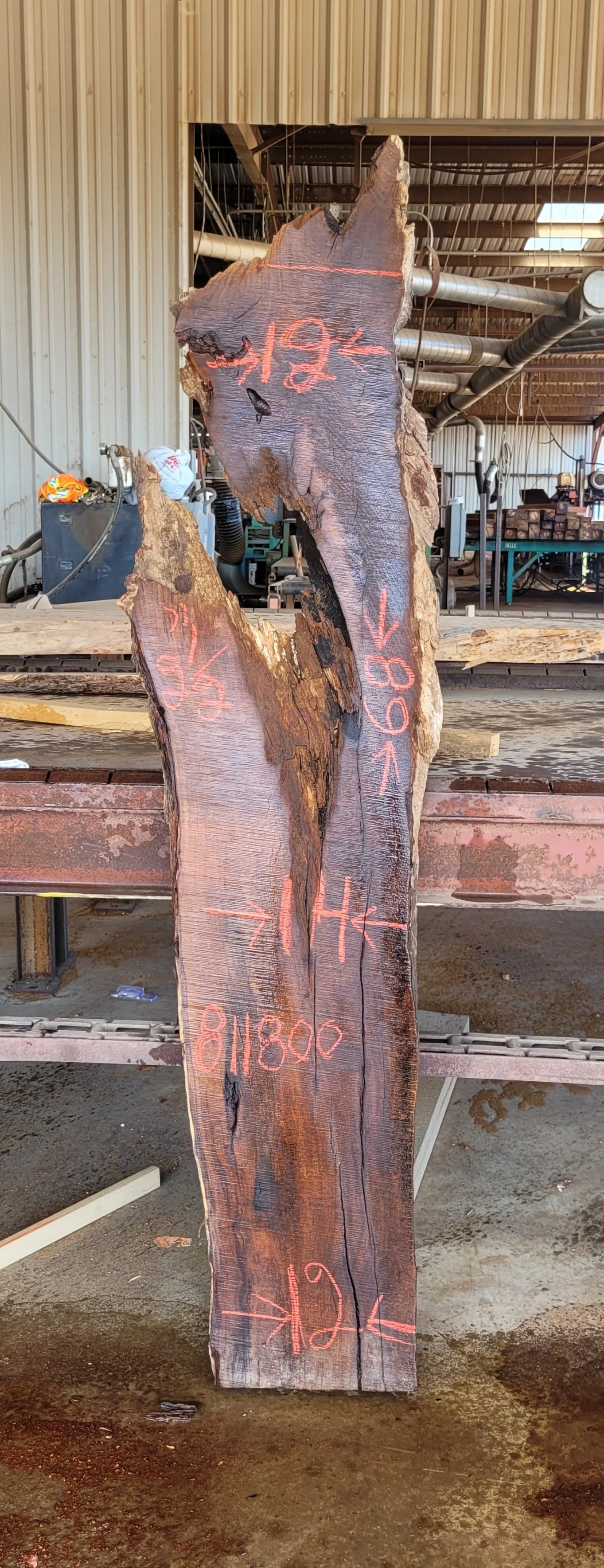 811800.jpg