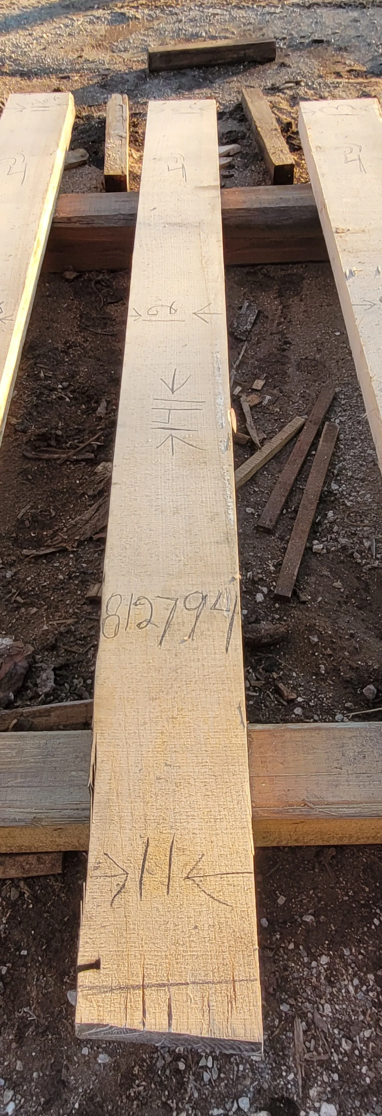 812794.jpg