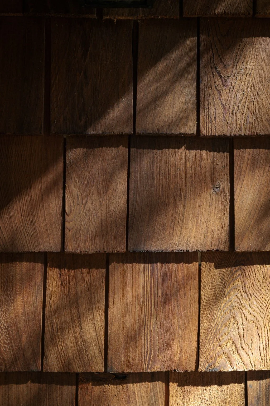Wood Shingle Detail Dennis McGuire Idyllwild