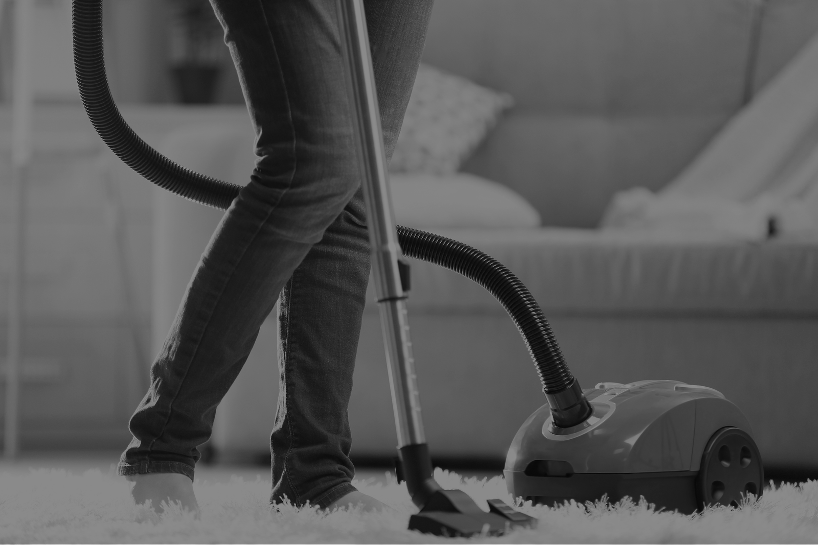 Sebo Vacuums — Northgate Vacuum