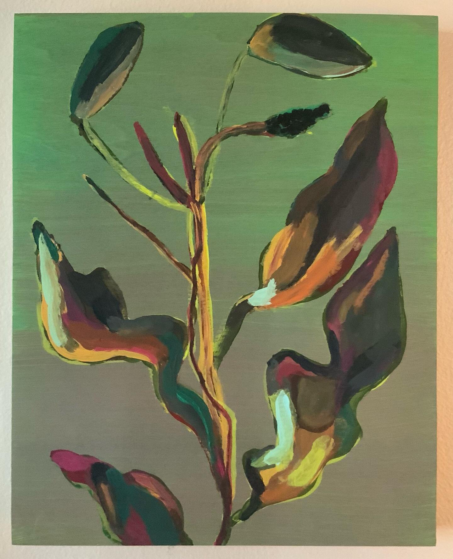 April: in the studio and in the garden. Acrylic on wood panel. 8 x 10&rdquo;. Dogwood bud.

#botanicals #aquaticplants #dogwood #shapesofthings #colorstudies #painting