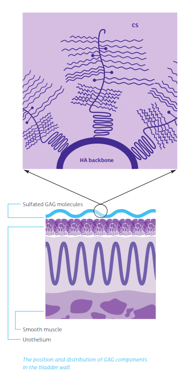 ialDiagram2.png