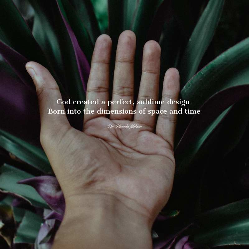 God's Design