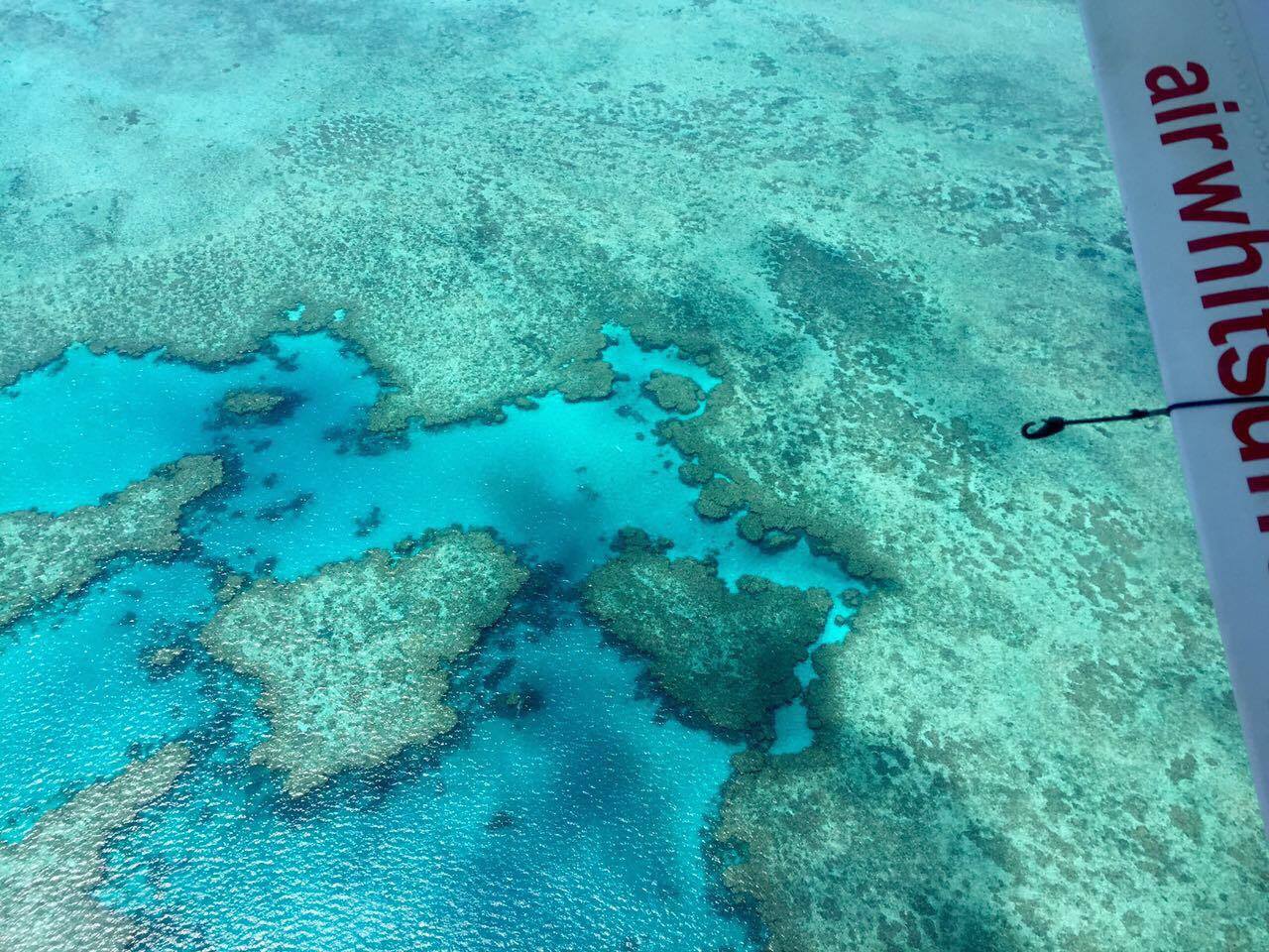  Typical tours to the more remote areas of the reef will include seaplane transfer for an aerial view, in conjunction with a boat tour for snorkeling opportunities.&nbsp;Without a underwater camera, I was unable to take any pictures of the dynamic li