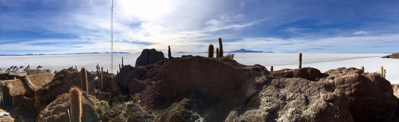  A final stop in the day-long tour was an 'island' in the middle of the salt flats. Shrouded in cactuses, the island rose out of the flats in a strange, extraterrestrial fashion to greet visitors from afar.&nbsp; 