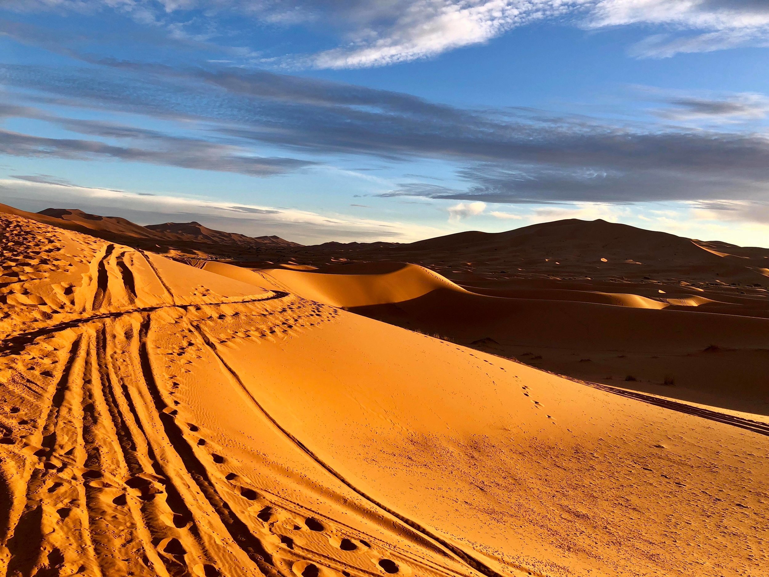  Camel hooves, footprints, and ATV tracks criss-cross the distance, leading us to our camp for the night.&nbsp; 