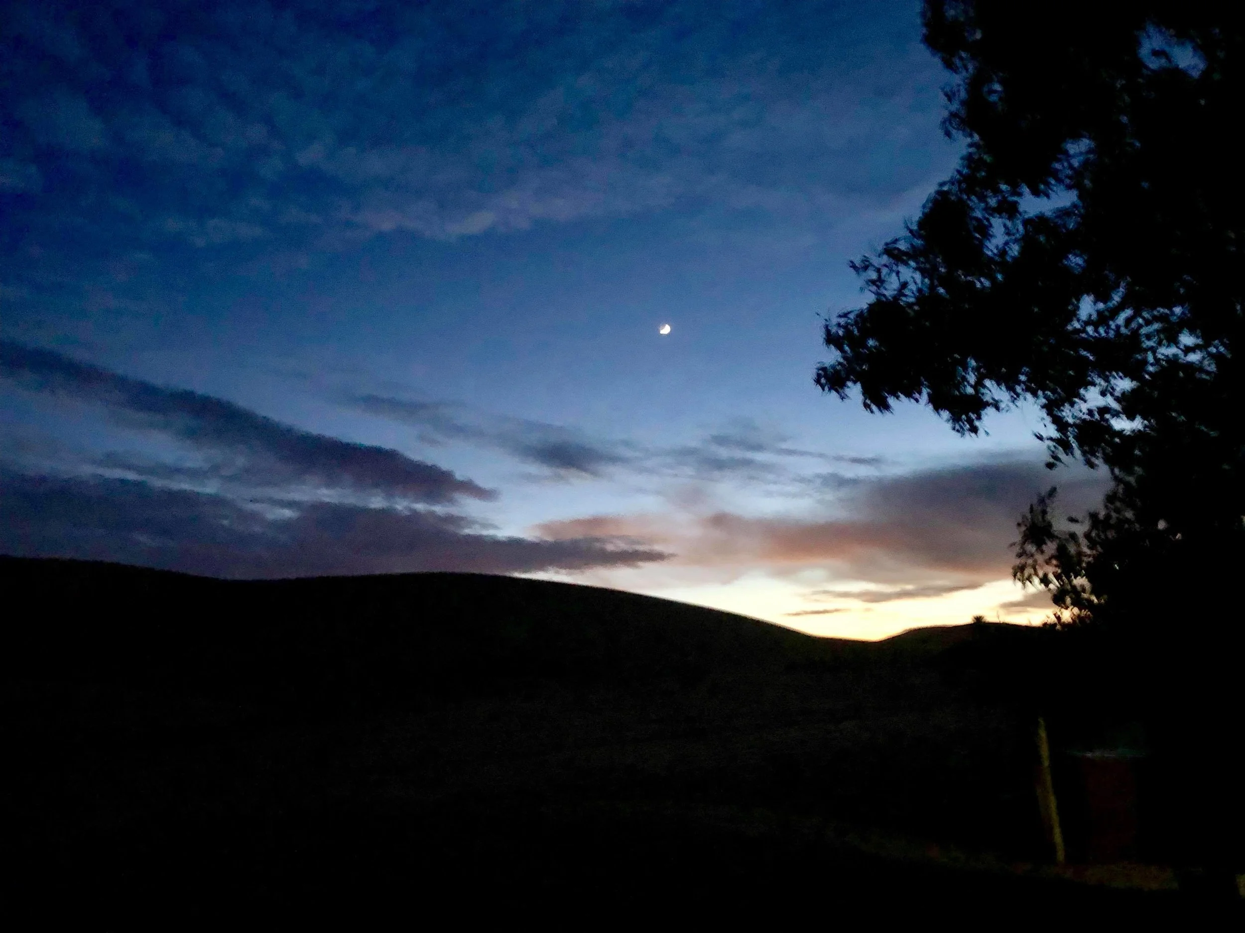 24201303_10155680532766758_1558038024_o.jpg