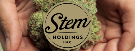 STEM.jpg