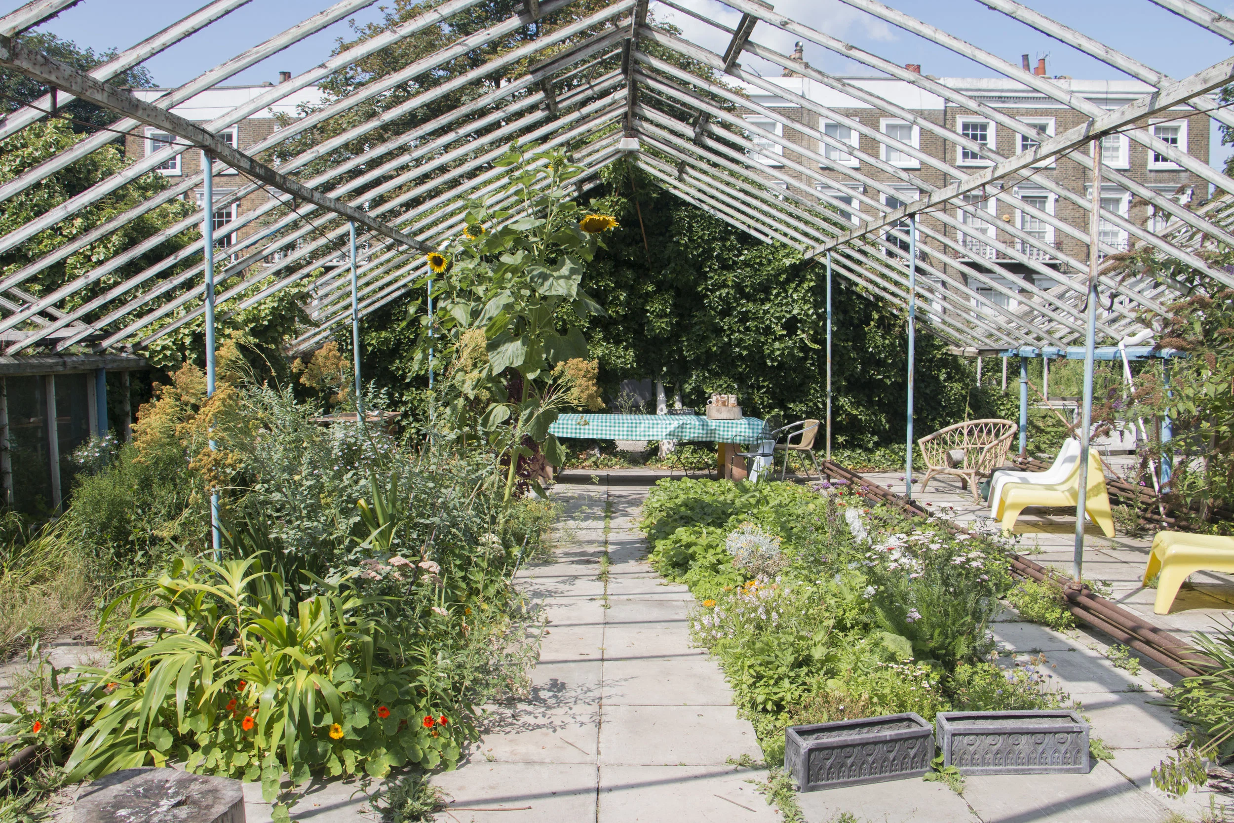  Garden 