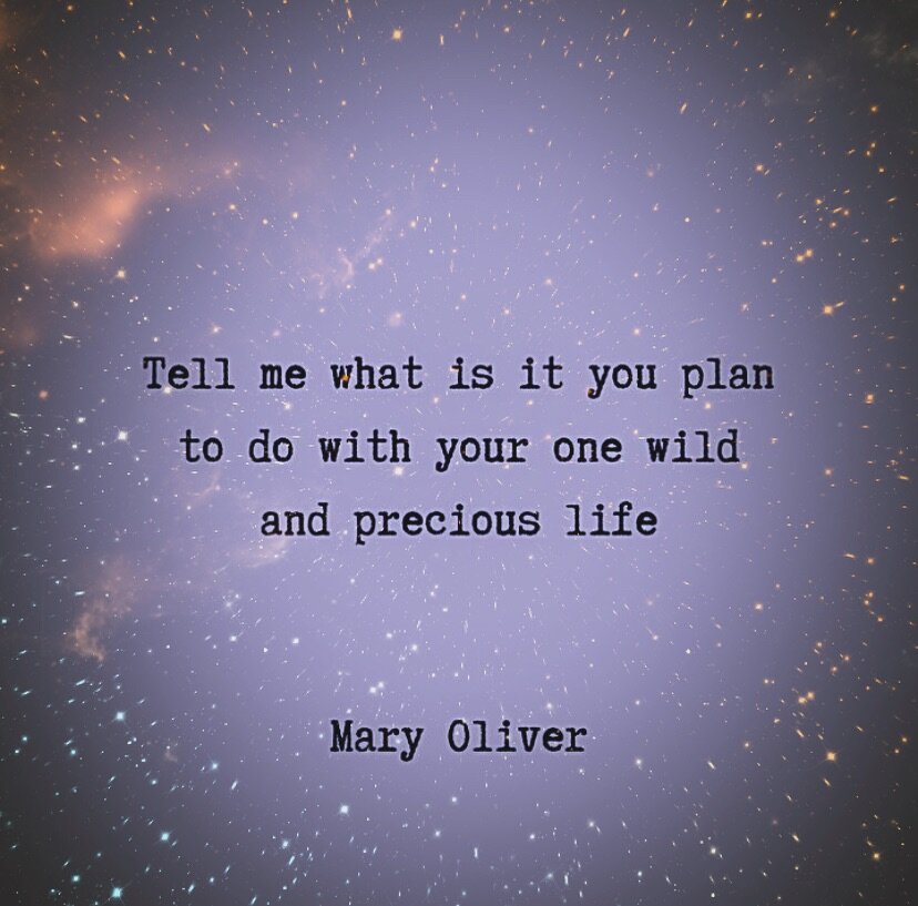 Inspiration for a day of slow, intentional practice to steady the heart and mind and create a sense of ease and flow&hellip;. Follow Your Heart, tomorrow, for a day to tap into your creative energy ✨
.
.
.
#followyourheart #maryoliver #findyourflow #